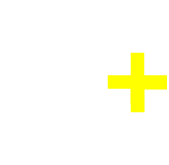 Festival plural
